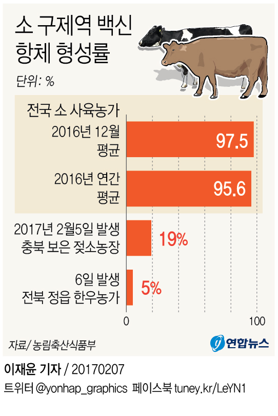 보은 구제역 발생 인근농장도 20∼40%…항체미달 더 있을 수도(종합) - 1