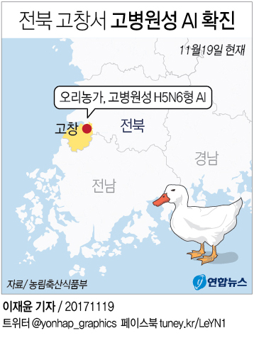 [그래픽] 전북 고창 오리농가, 고병원성 AI 확진