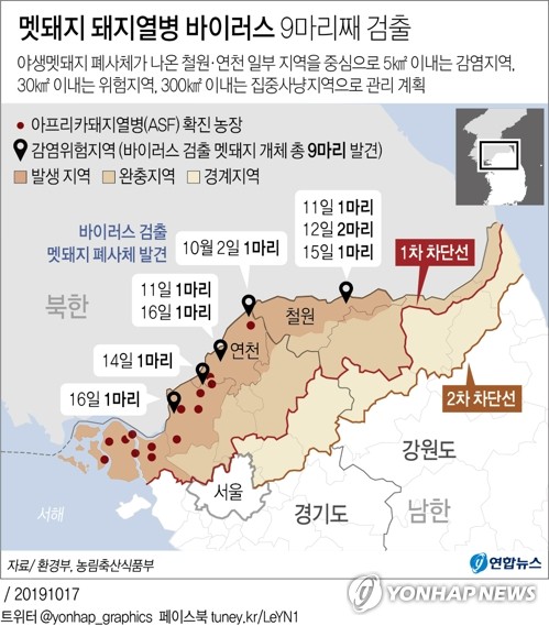 파주 멧돼지서 돼지열병 바이러스 첫 검출…연천도 1마리 추가(종합) - 2