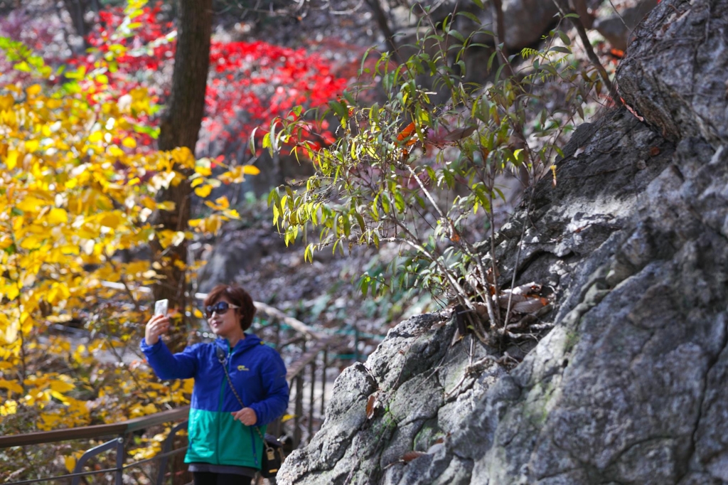 A female hiker takes a selfie on a trail at Hwadam Botanic Garden. 