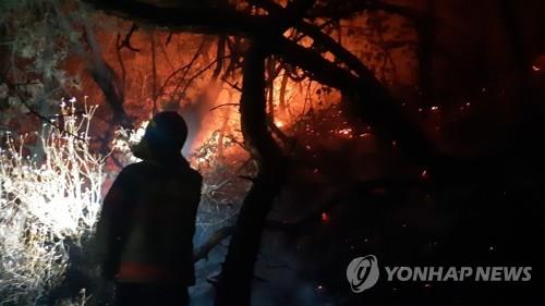 This photo provided by the Seoul Metropolitan Fire & Disaster Headquarters shows a forest fire on Mount Surak in northern Seoul on March 19, 2020. (PHOTO NOT FOR SALE) (Yonhap)