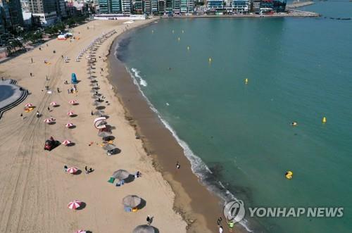 Parasols are installed 2 meters apart on Gwangalli Beach in Busan on its formal opening day, July 1, 2020. (Yonhap)