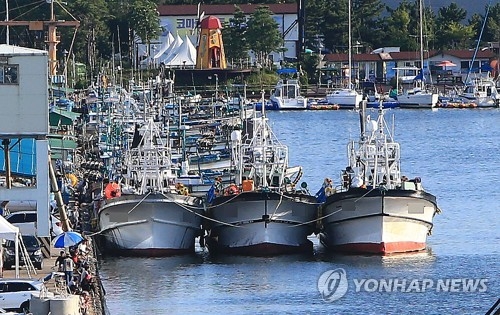 韓国・束草港に停泊するイカ釣り漁船＝（聯合ニュース）