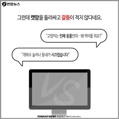<카드뉴스> "민폐 동물에 왜 먹이 주나요"…캣맘 두고 갑론을박 - 4