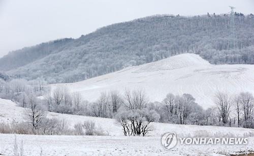 "반갑다 겨울"…전국 스키장·설산에 '인파' - 3