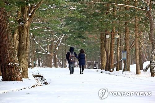 '최강한파' 후 첫 주말…충북 나들이객 평소 수준 회복 - 2