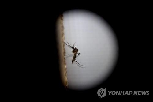 <지카 비상> 전 지구가 긴장하는데…베네수엘라는 환자수 축소 의혹 - 2