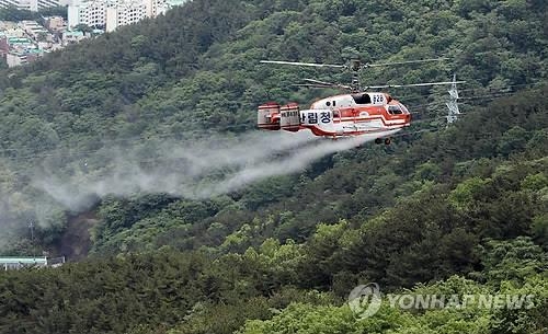소나무 재선충 청주 이어 제천까지 '북상'…산림당국 '비상'(종합2보) - 2