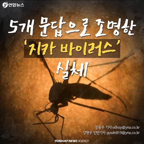 <카드뉴스> '알아야 막는다'…지카 바이러스를 둘러싼 문답 - 2