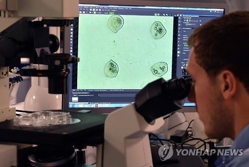 "T-세포 치료법, 말기 암환자에 놀라운 반응"…美교수팀 보고 - 2