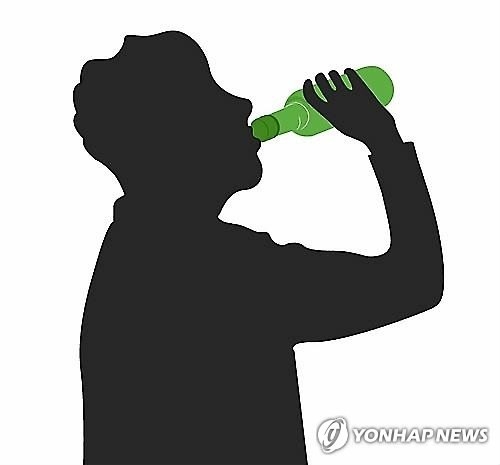 음주운전 승용차 외국인 관광객 들이받아…4명 부상 - 2