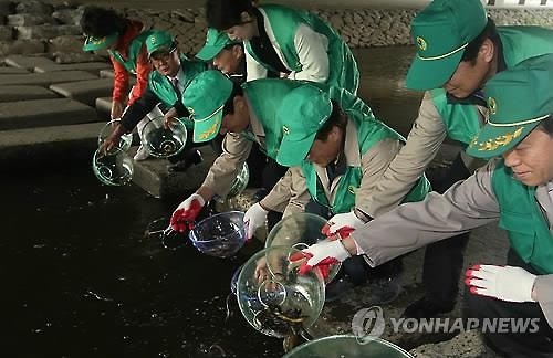 "미꾸라지 풀어 모기 잡는다"…진천군 3년째 '친환경 방역' - 2