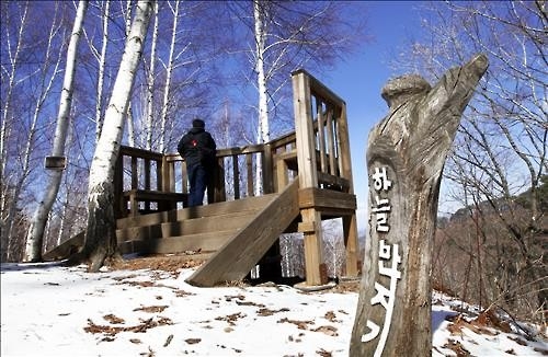 <길따라 멋따라> '순백의 세상' 인제 자작나무 숲 - 7