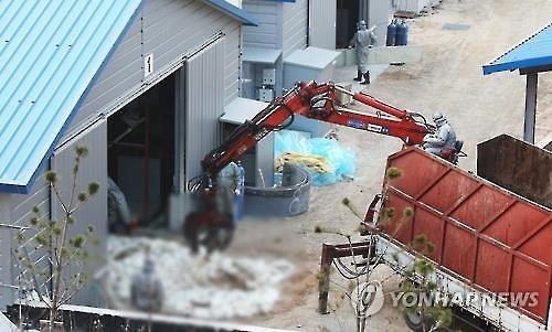 이천 종오리 농장서 AI 발생…경기도 오리류 '이동중지명령'(종합) - 2