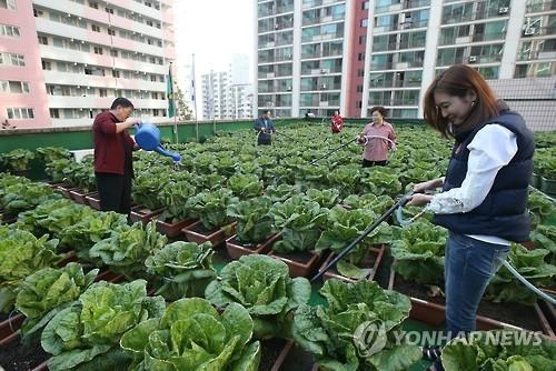 돈 되는 도시농업…'원산지 서울' 토마토·버섯·벌꿀 판매 - 3