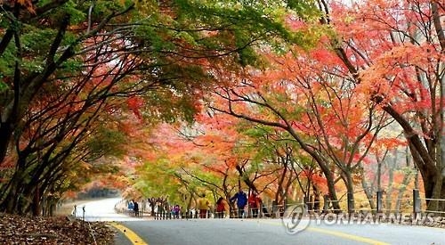 "내장산단풍 제대로 즐긴다"…정읍시 케이블카 노선 연장 - 2