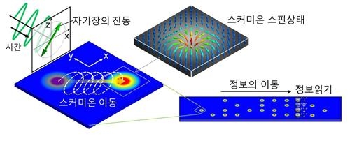 자기장으로 '스커미온' 이동…스핀메모리 가능성 높여 - 2