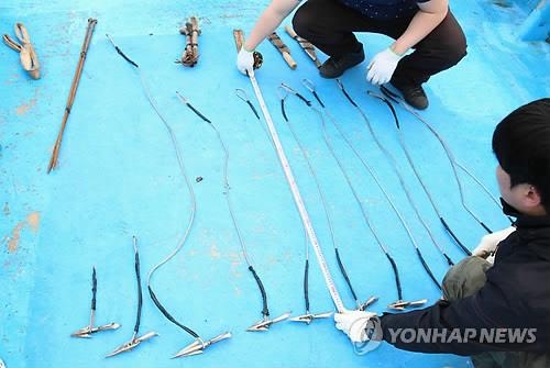 밍크고래 불법 포획·유통 일당 검거…4명 구속 - 5