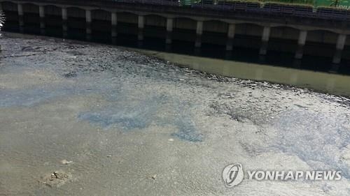 "악취를 잡아라" 전북도 악취 배출지 330곳 집중 점검 - 2
