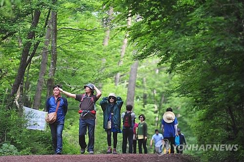 "제주 사려니숲길 걸으며 치유·명상 체험하세요" - 2