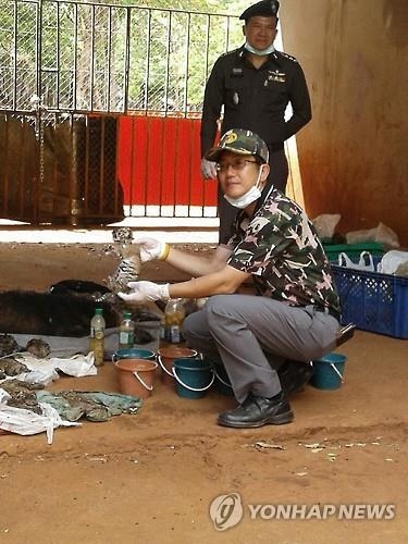 '호랑이 무덤' 태국 사원서 가죽 나와…불법도살 의심 - 3