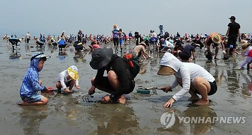 "오지마을이 뜬다"…고창군 두어·하전·장호마을 6차산업 선도 - 2