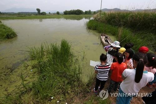 창녕 우포늪, 자연과 사람이 하나 되는 물아일체 체험 - 6