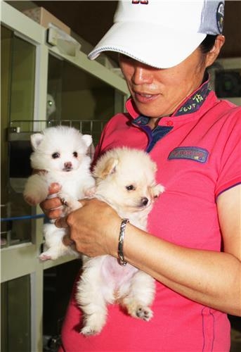 뽀송뽀송 이불 깔린 곳…사랑 넘치는 '강아지 번식장' 있다 - 3