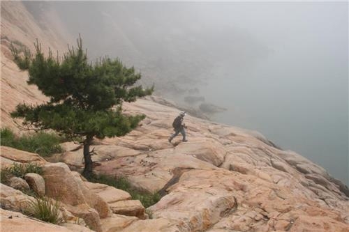 <가고 싶은 섬> 야생의 매력, 안산 풍도 - 11