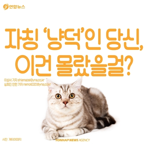 <카드뉴스> 고양이에 대해 모르고 있던 사실 '7가지' - 1
