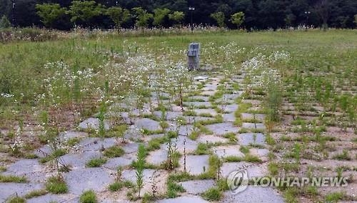 '잡풀 무성하고 나무는 죽어가고' 266억원 들인 흉물 공원 - 2