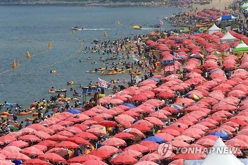 해수욕장 파라솔 이용료…무료에서 3만 원까지 '천차만별' - 2