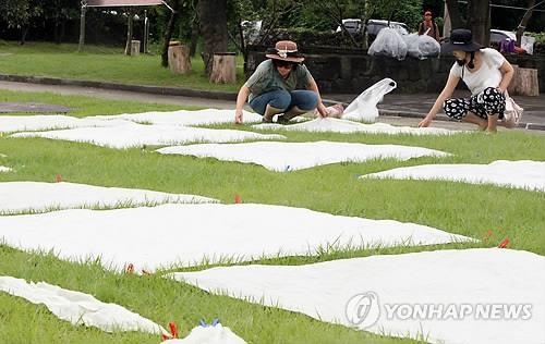 <주말 N 여행> 제주권: '폭염도 머쓱'…차디찬 용천수 솟는 예래 생태마을 축제 - 5