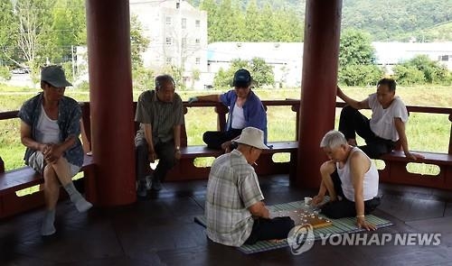 폭염속 밭 매고 하우스 돌보고…일 매달리는 어르신들 '비상' - 3