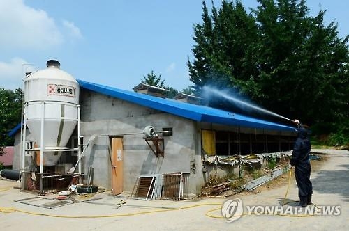 에어컨 틀고, 영양제 먹이고, 얼음 주고…농가 가축살리기 비상 - 3