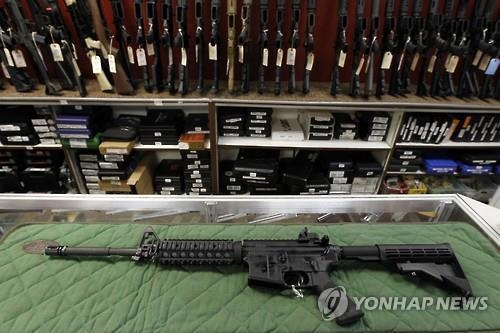 美 4개주, 11월 대선때 총기규제 강화방안 찬반 투표 - 2