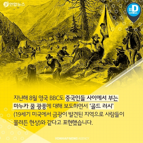 <카드뉴스> 마누카 허니, 뉴질랜드의 것이어야만 허니(honey)? - 4