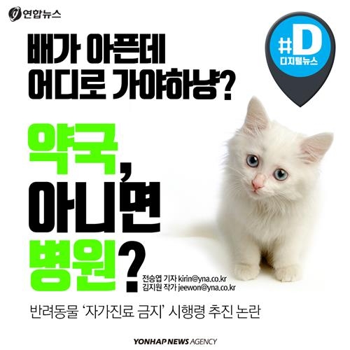 <카드뉴스> 배가 아픈데 어디로 가야하냥? 약국, 아니면 병원? - 1
