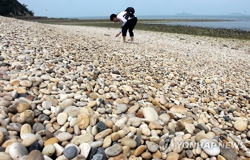 전남 가고싶은 섬