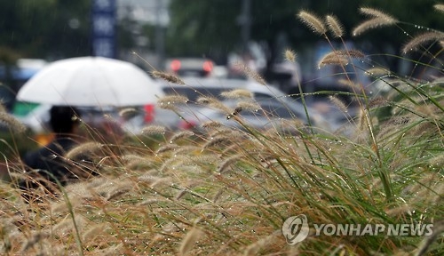 연휴 첫날 충북 곳에 따라 비…내일 전국으로 확대 - 1