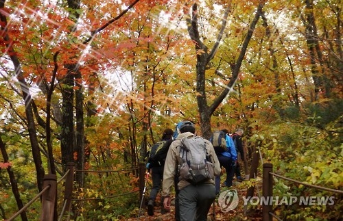 전북소방본부 "가을철 등산사고 주의하세요" - 1