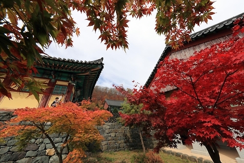 울긋불긋 단풍으로 단장된 적상산 안국사