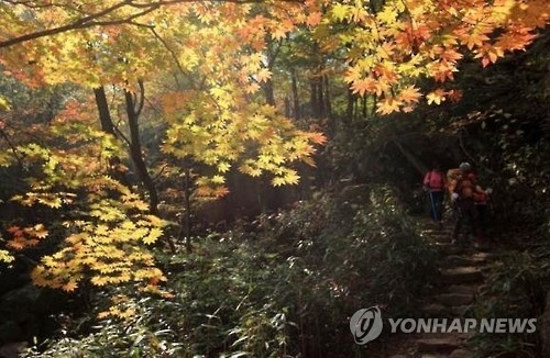 충북 주말 포근…가을 정취 만끽하려는 나들이객 붐벼 - 1