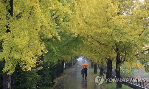 연합뉴스 자료사진