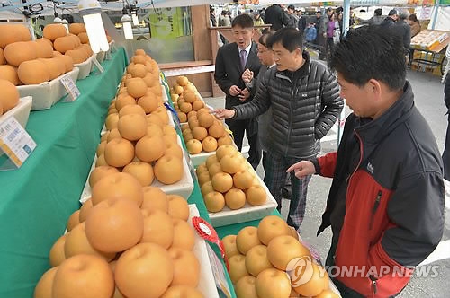 (연합뉴스 자료사진)