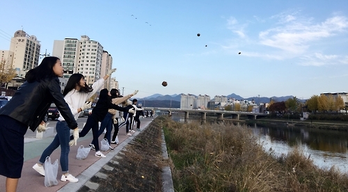 유용미생물군(EM) 흙공으로 강변 정화