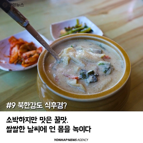 <카드뉴스> '여행도 발상의 전환' 2층 버스 타고 경기도 여행 - 10