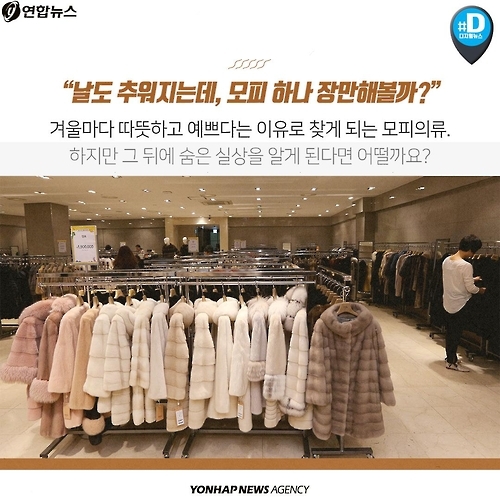 <카드뉴스> 우리가 따뜻해질수록 동물들은 웁니다 - 3
