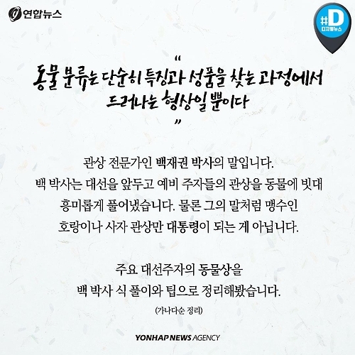 <카드뉴스> 동물상으로 바라본 대권주자 관상 - 2