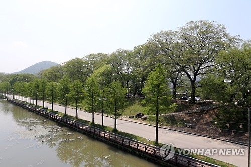 관방제림
